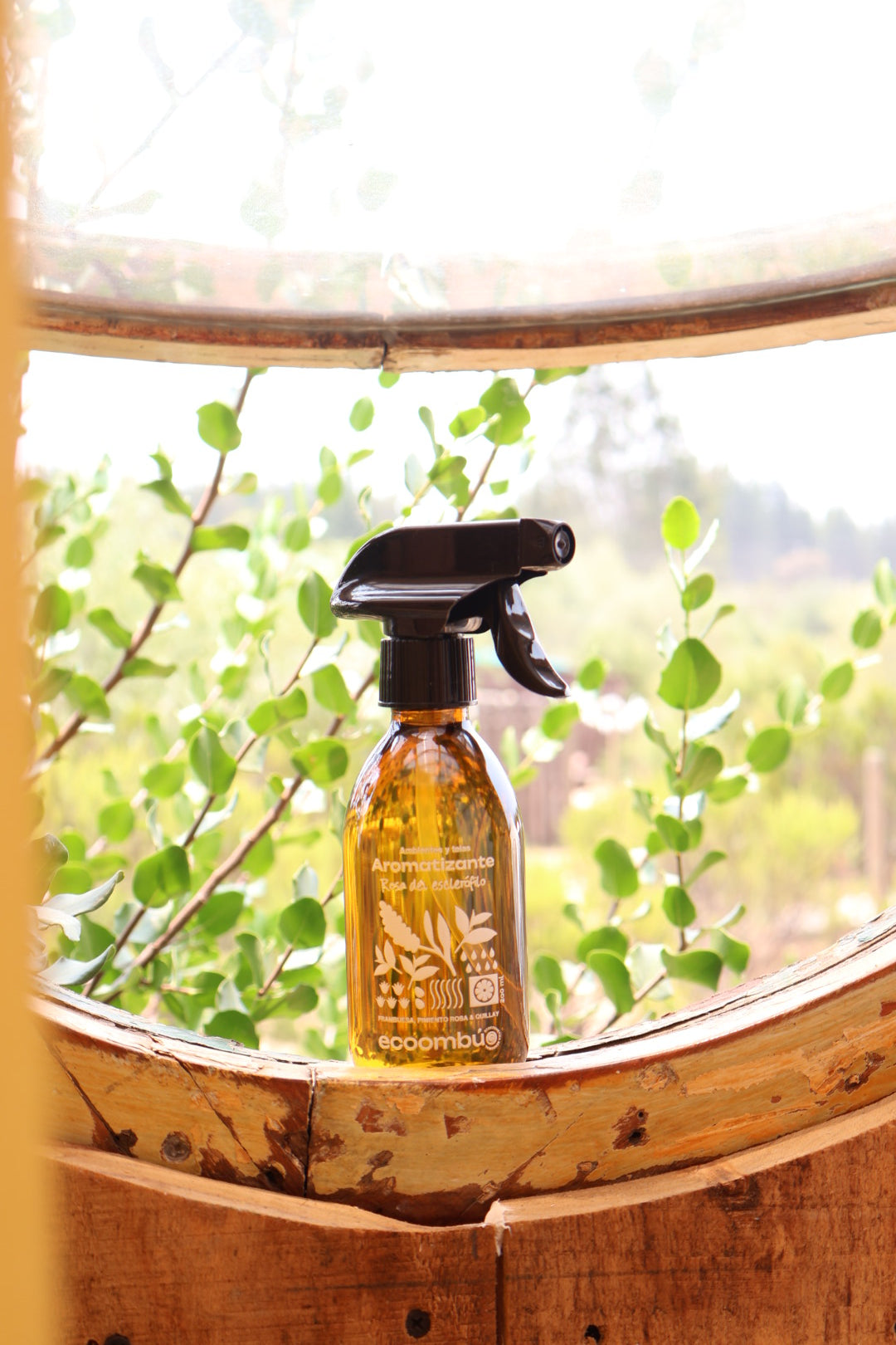 Aromatizante Botánico Rosa del Esclerófilo | Aromas Naturales Ecoombú