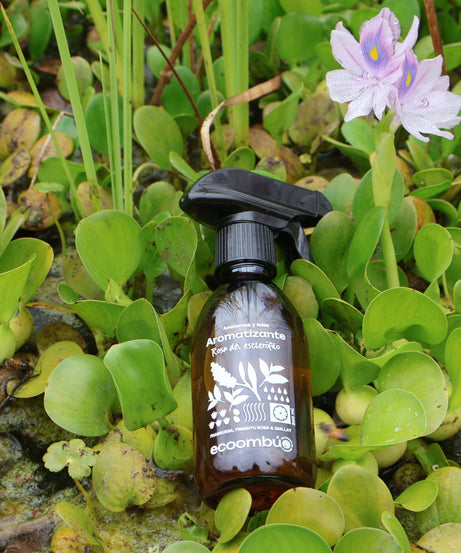 Aromatizante Botánico Rosa del Esclerófilo | Aromas Naturales Ecoombú