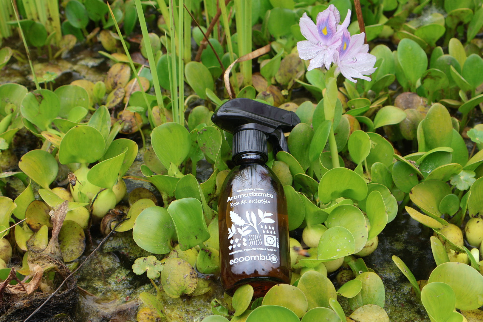 Aromatizante Botánico Rosa del Esclerófilo | Aromas Naturales Ecoombú