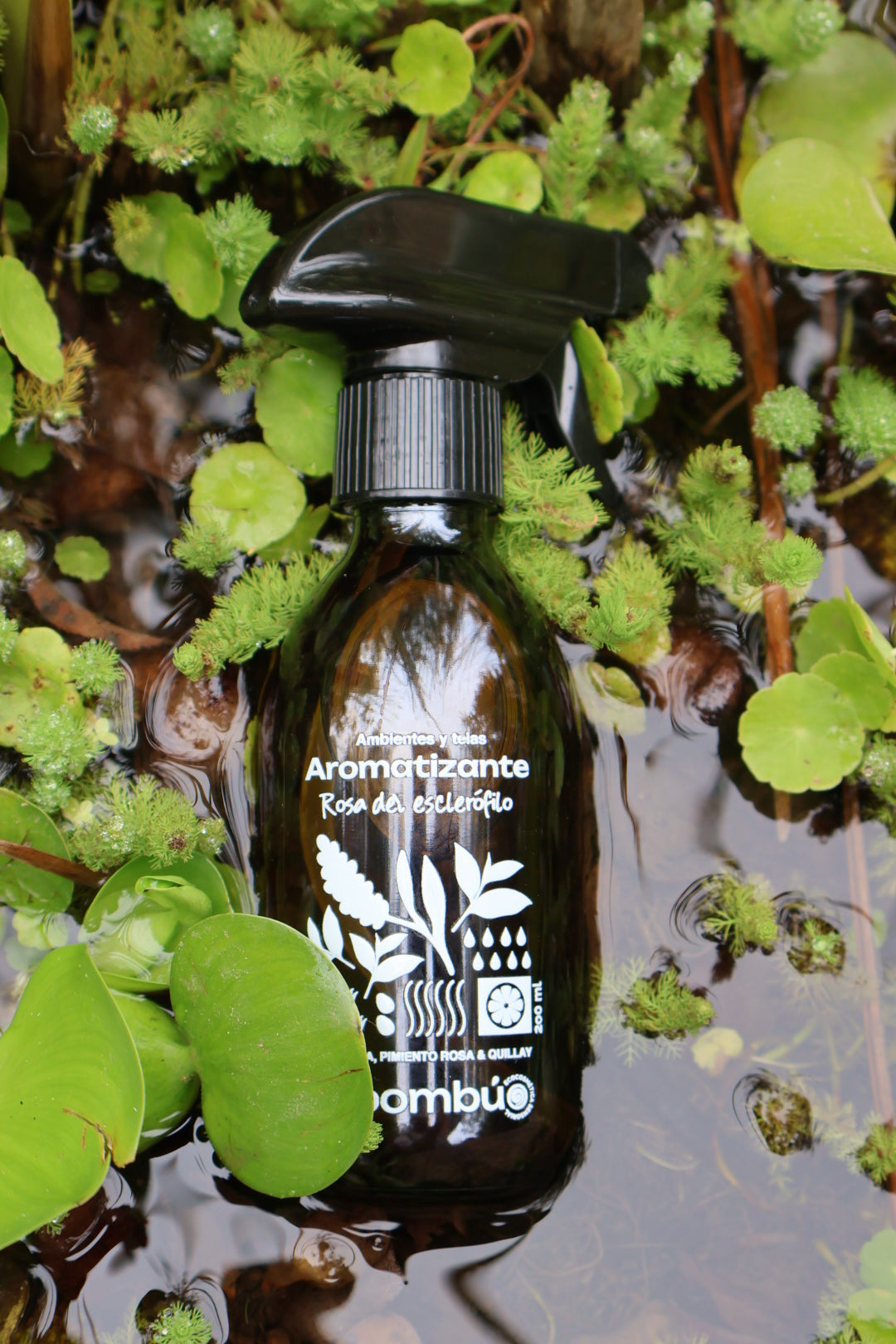 Aromatizante Botánico Rosa del Esclerófilo | Aromas Naturales Ecoombú