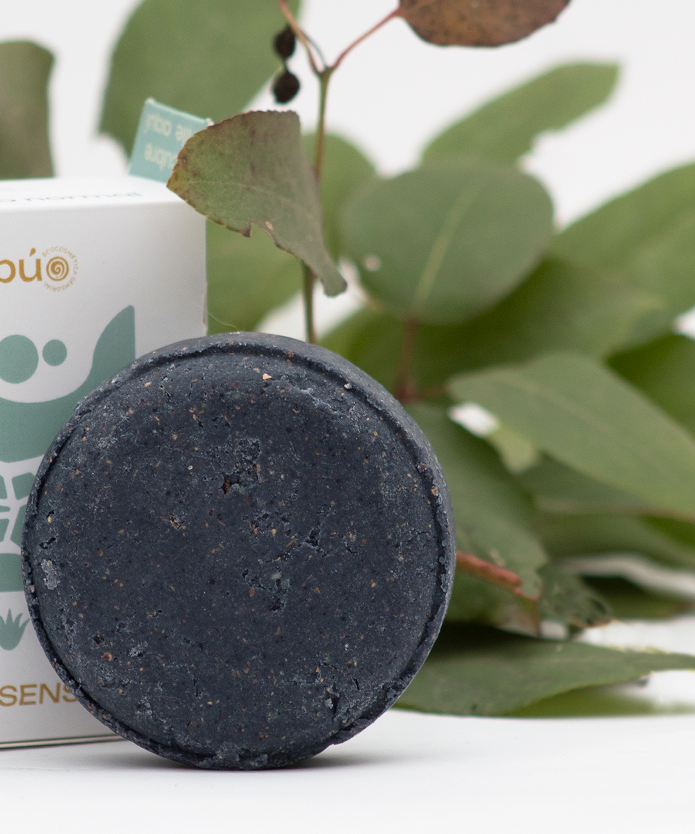 Pack Botánica Capilar Ecoombú