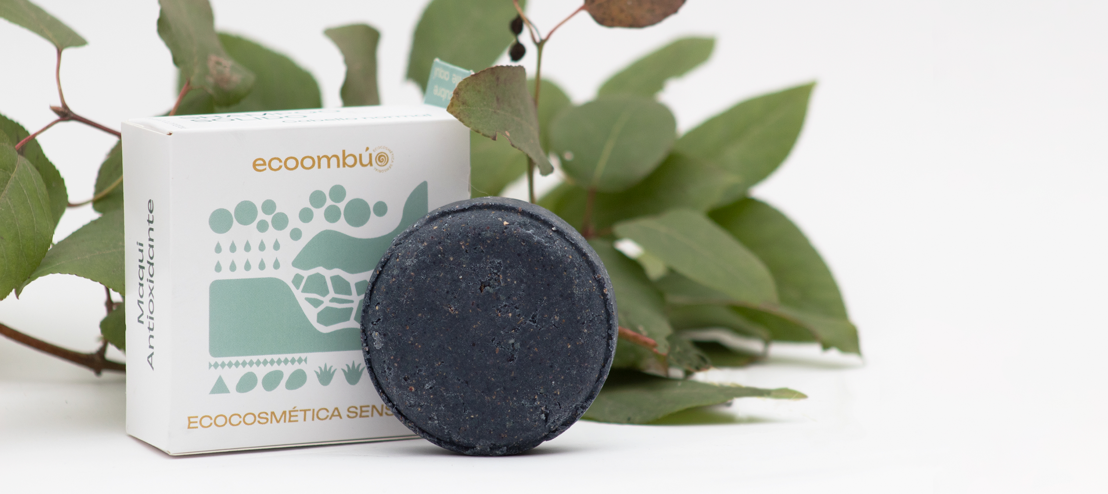 Pack Botánica Capilar Ecoombú